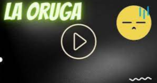 Tube Soy La Oruga Video Viral